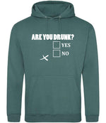 Are You Drunk? Yes No hoodie in moss green