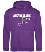 Are You Drunk? Yes No hoodie in purple