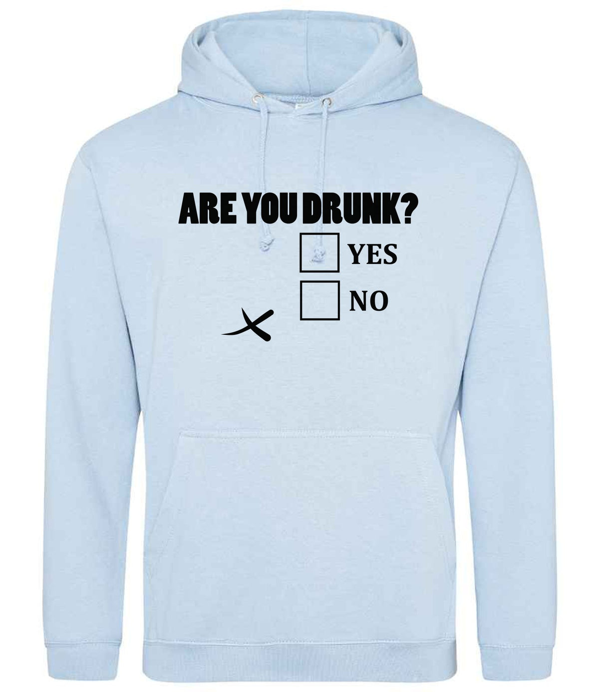 Are You Drunk? Yes No hoodie in sky blue