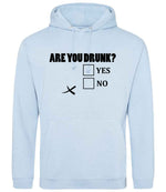 Are You Drunk? Yes No hoodie in sky blue