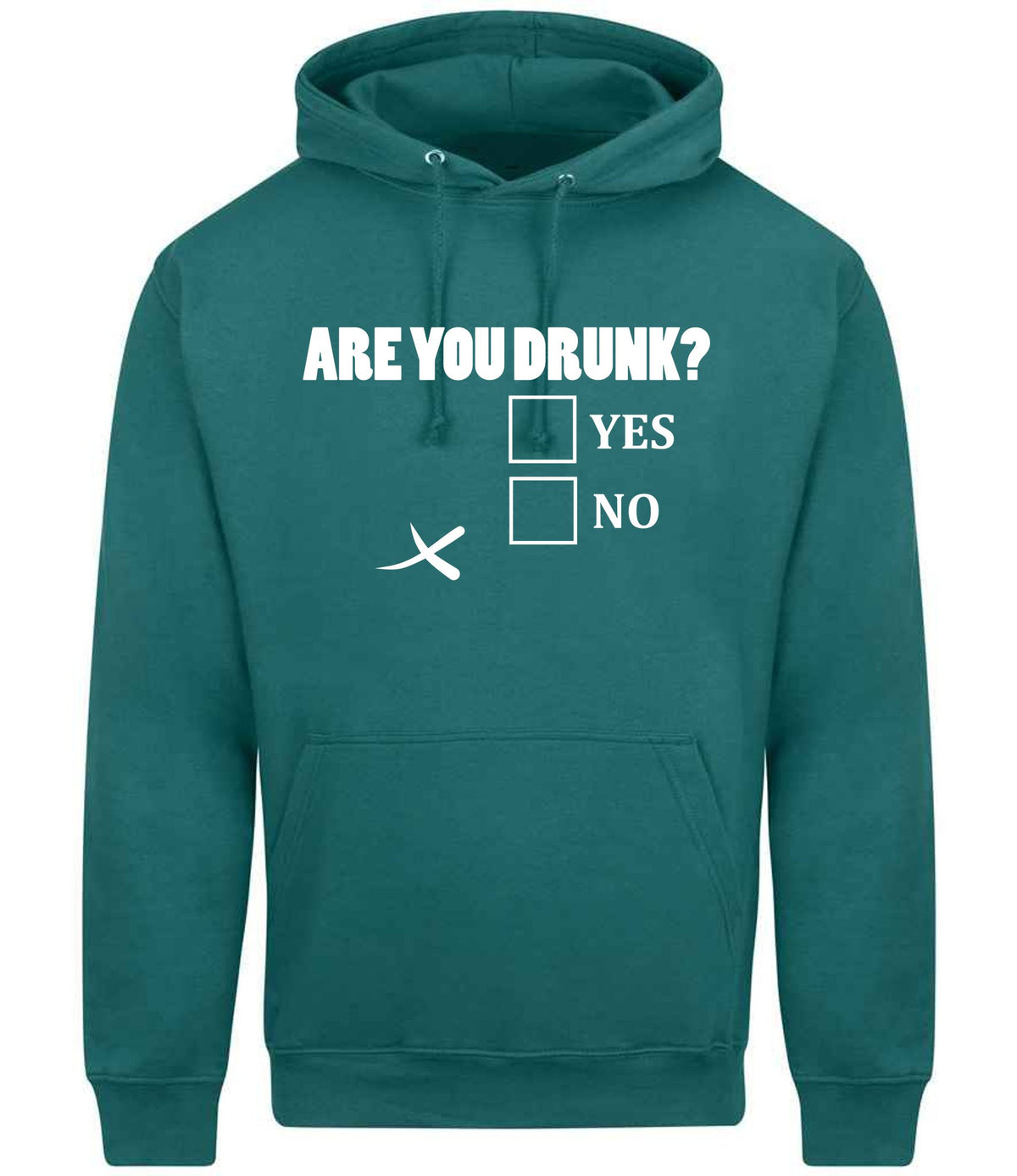 Are You Drunk? Yes No hoodie in teal