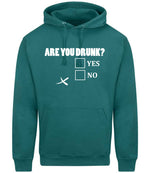 Are You Drunk? Yes No hoodie in teal