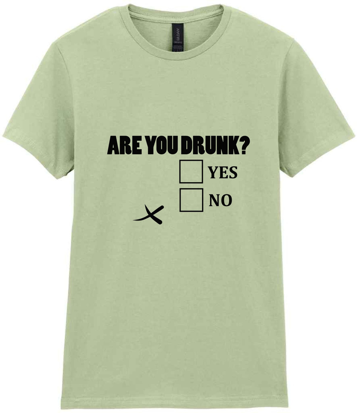 Are You Drunk? Yes No t-shirt in pistachio