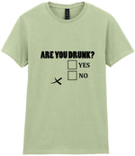 Are You Drunk? Yes No t-shirt in pistachio
