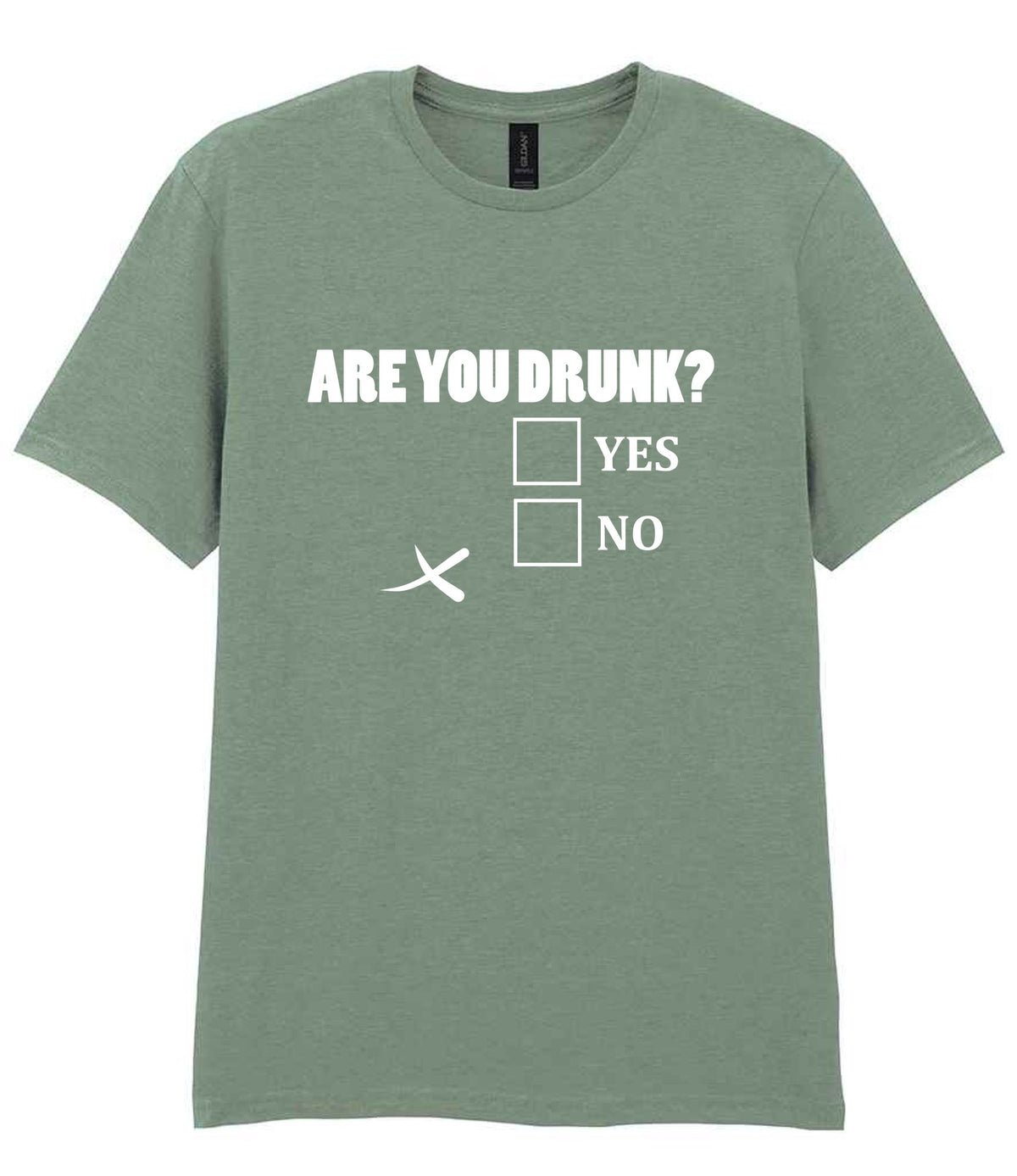 Are You Drunk? Yes No t-shirt in sage