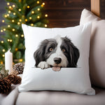 Bearded Collie Face cushion in white