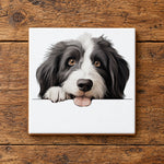 Bearded Collie Face ceramic coaster in white