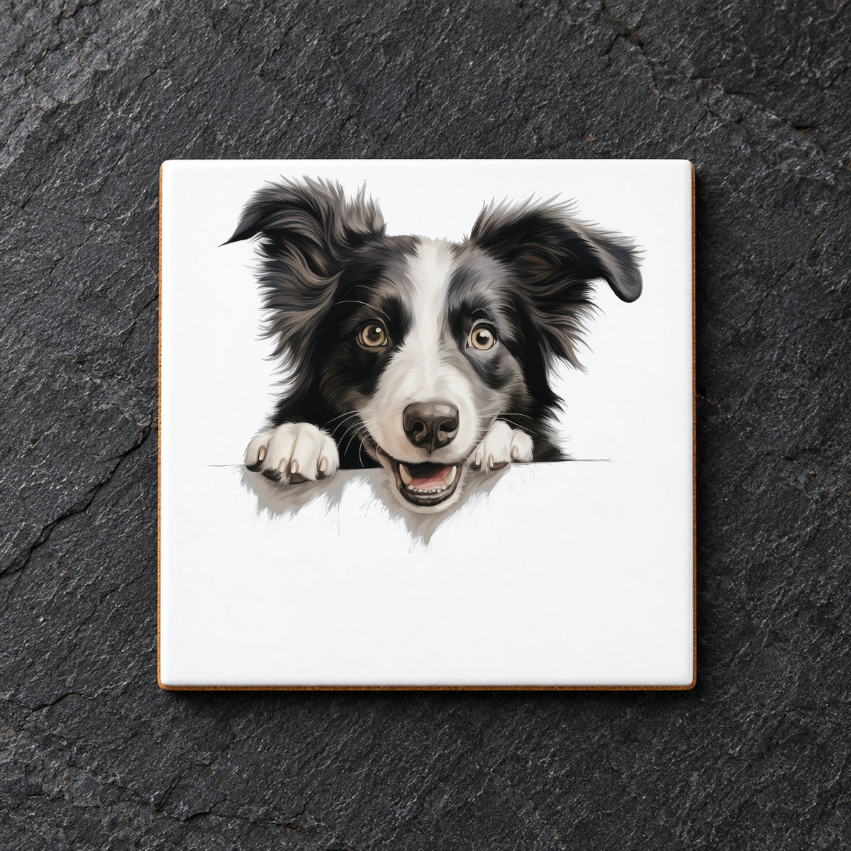 Border Collie Portrait ceramic coaster in white