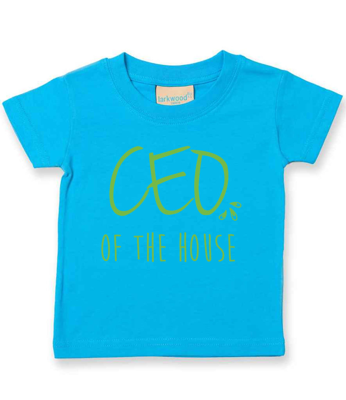 Ceo of the House – Baby T-Shirt in Turquoise Blue with Apple Green vinyl