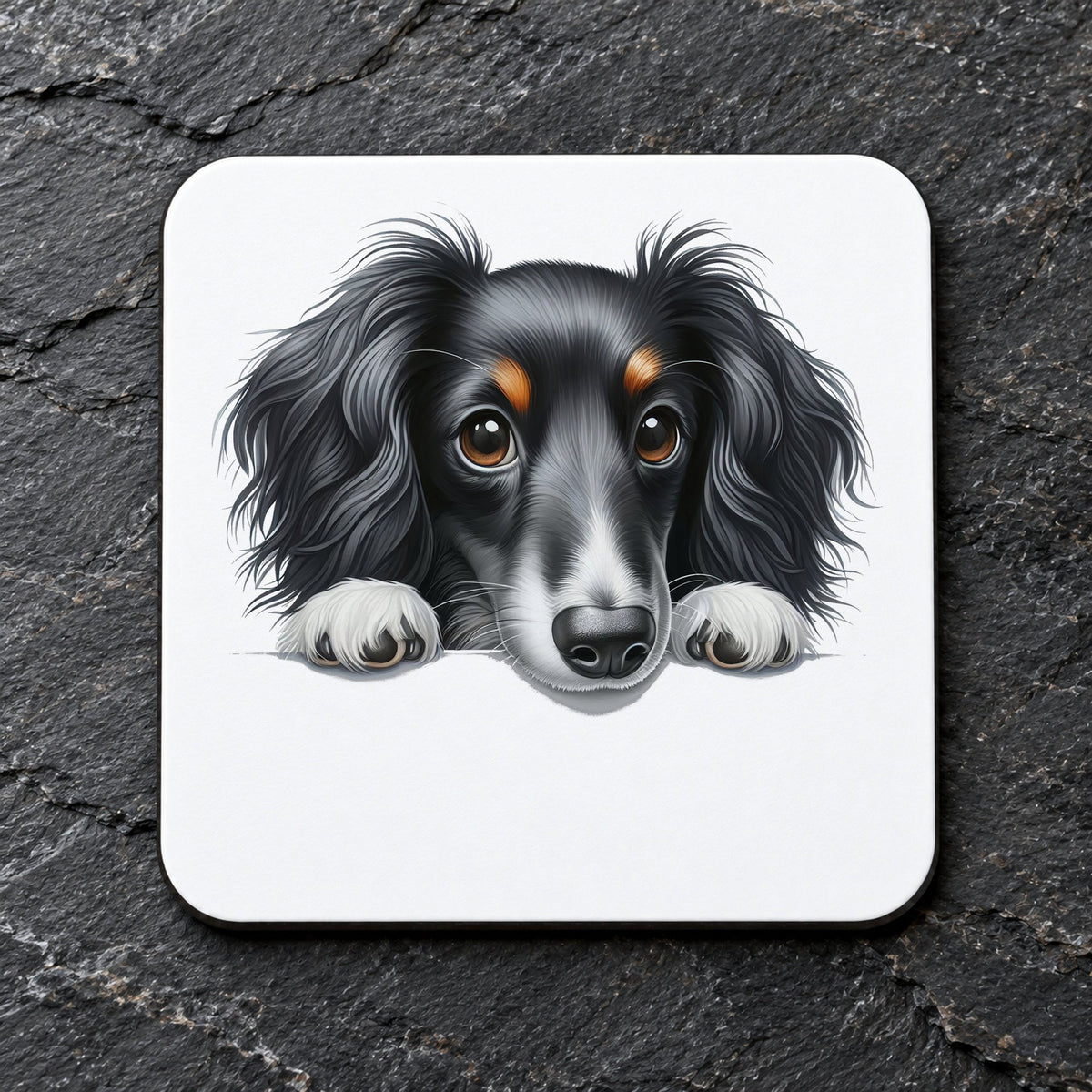 Dachshund Portrait coaster in white