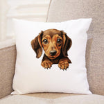 Dachshund Puppy cushion in white