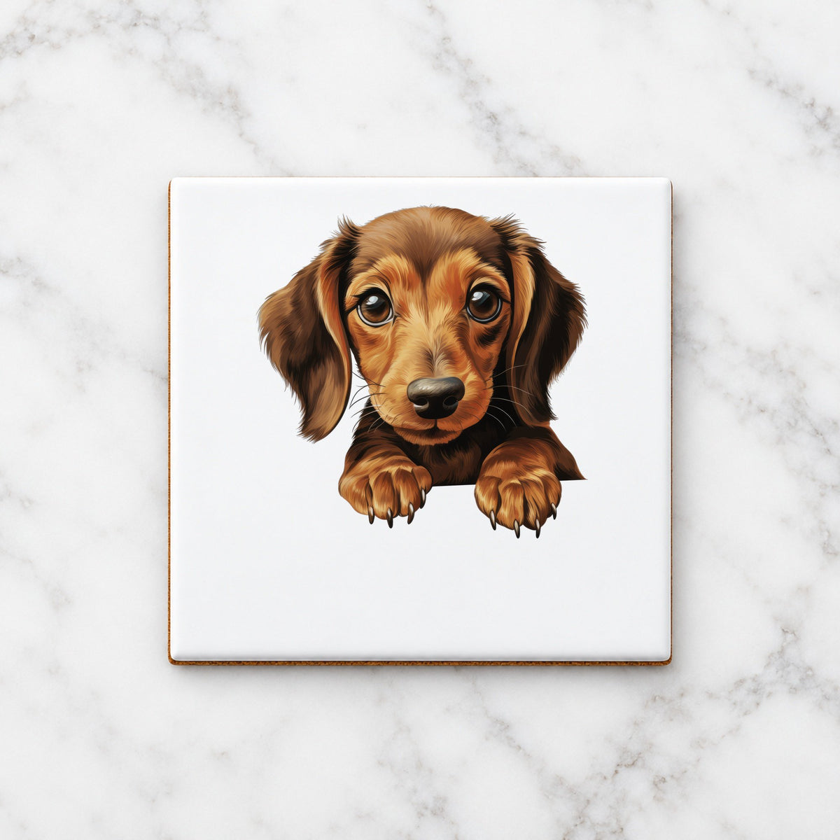 Dachshund Puppy ceramic coaster in white