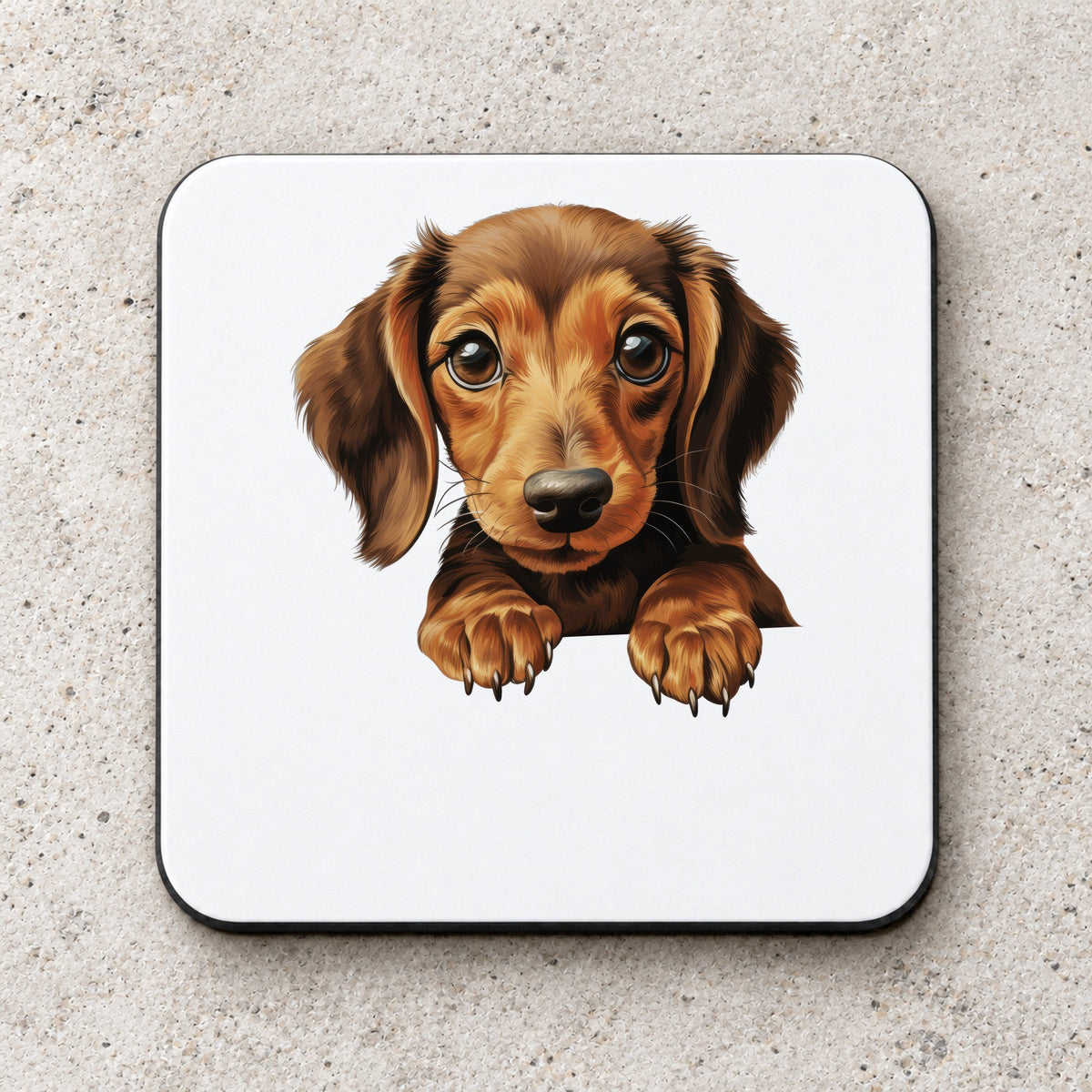 Dachshund Puppy coaster in white