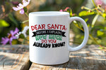 Dear Santa How Much standard mug in white