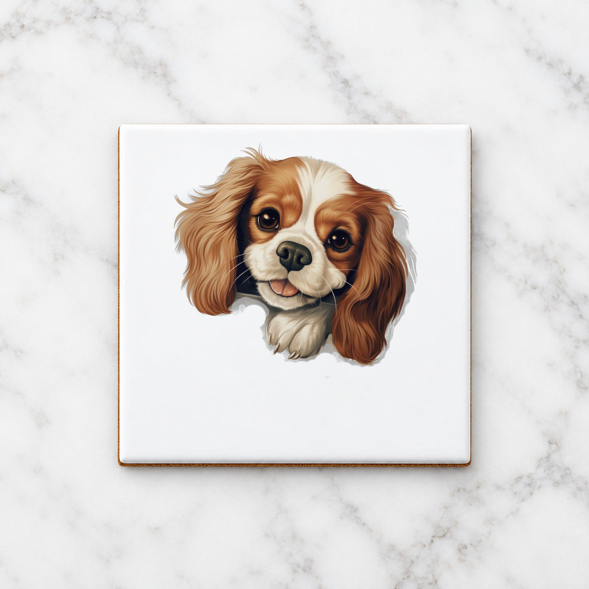 Cavalier King Charles Spaniel ceramic coaster in white