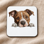 American Staffordshire Terrier coaster in white