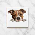 American Staffordshire Terrier ceramic coaster in white