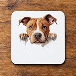 American Pit Bull Terrier coaster in white