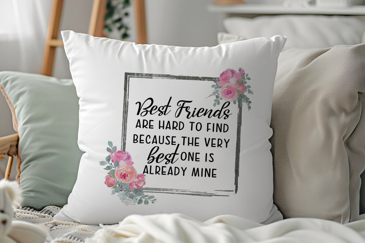 Best Friends Hard to Find cushion in white