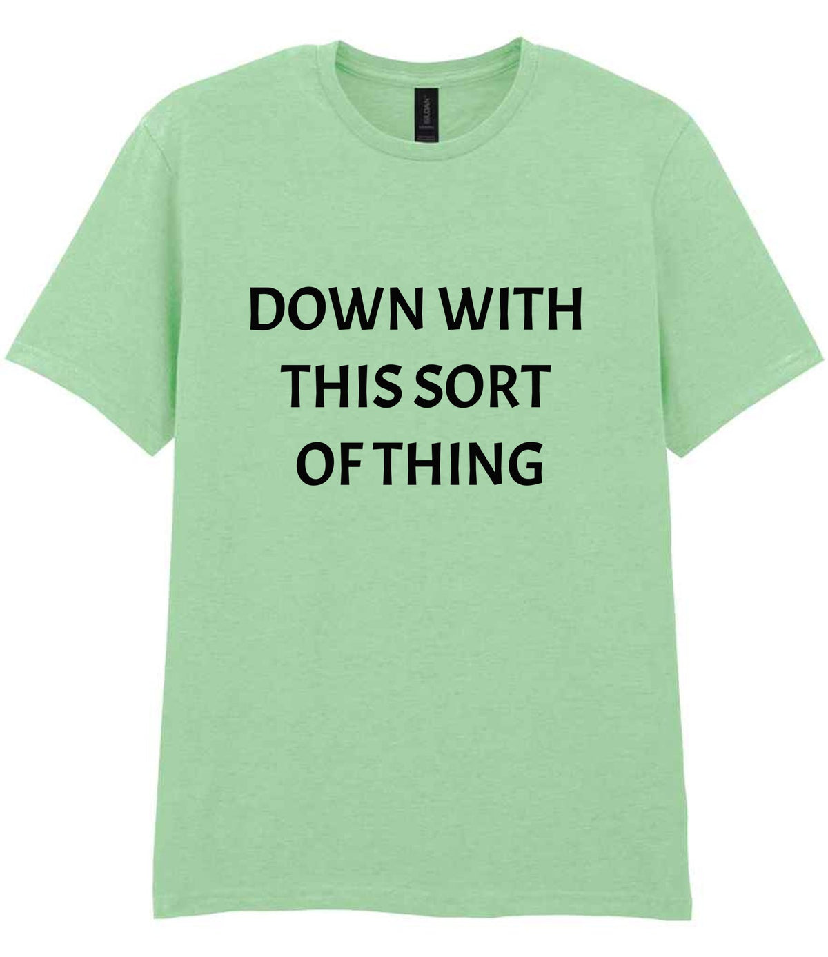 Down with This Sort of Thing t-shirt in mint