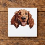 Happy Irish Setter ceramic coaster in white