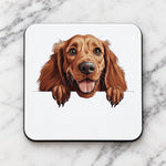 Happy Irish Setter coaster in white