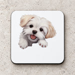 Happy Maltese Dog coaster in white