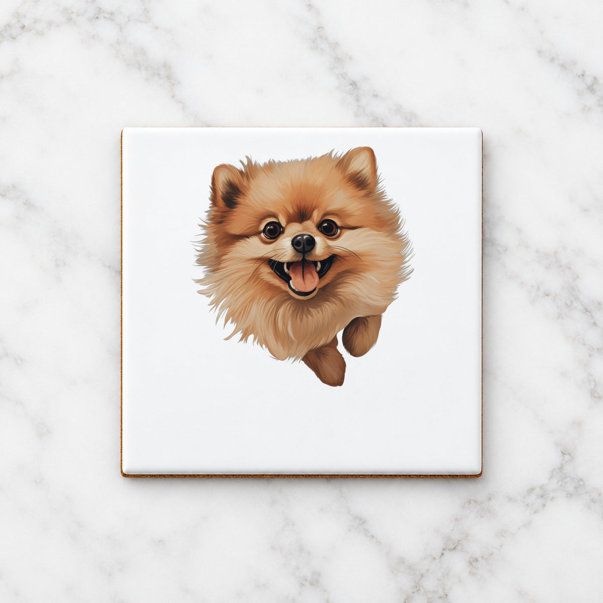 Happy Pomeranian ceramic coaster in white
