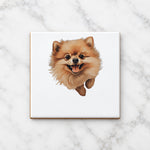 Happy Pomeranian ceramic coaster in white