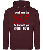 I Don't Have the BLOOD ALCOHOL LEVEL to Deal with You RIGHT NOW hoodie in burgundy