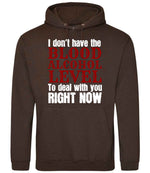 I Don't Have the BLOOD ALCOHOL LEVEL to Deal with You RIGHT NOW hoodie in hot chocolate