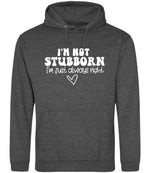 ImnotstubbornImjustalwaysright hoodie in charcoal