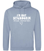 ImnotstubbornImjustalwaysright hoodie in dusty blue