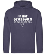 ImnotstubbornImjustalwaysright hoodie in shark grey