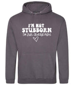 ImnotstubbornImjustalwaysright hoodie in steel grey