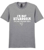 ImnotstubbornImjustalwaysright t-shirt in sport grey