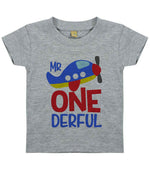 Mr One Derful t-shirt in heather grey