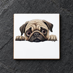 Pug Face ceramic coaster in white