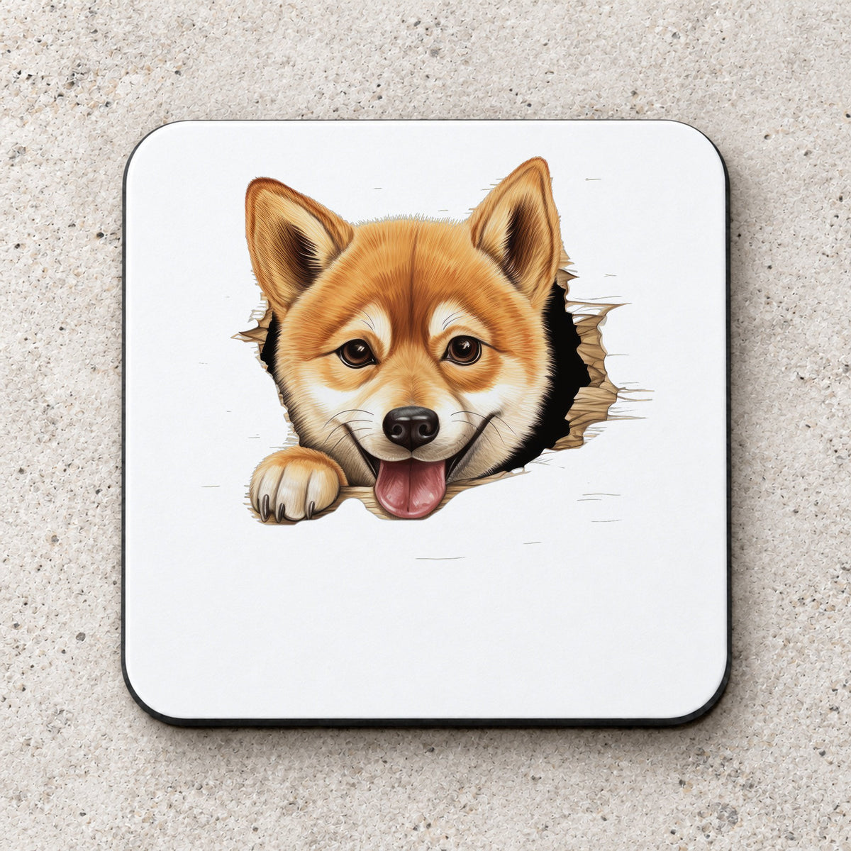 Shiba Inu Peeking coaster in white