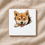 Shiba Inu Peeking ceramic coaster in white