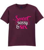 Sweet Sassy & Six t-shirt in maroon