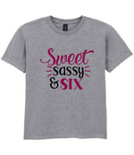 Sweet Sassy & Six t-shirt in sport grey