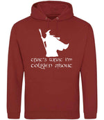 Thats What Im Tolkien About hoodie in brick red