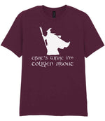 Thats What Im Tolkien About t-shirt in maroon
