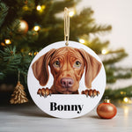 Customisable Vizsla Dog Portrait – Ceramic Hanging Decoration, personalised with your own text