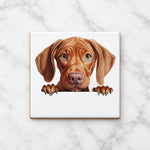 Vizsla Dog Portrait ceramic coaster in white