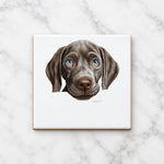 Weimaraner Puppy Face ceramic coaster in white