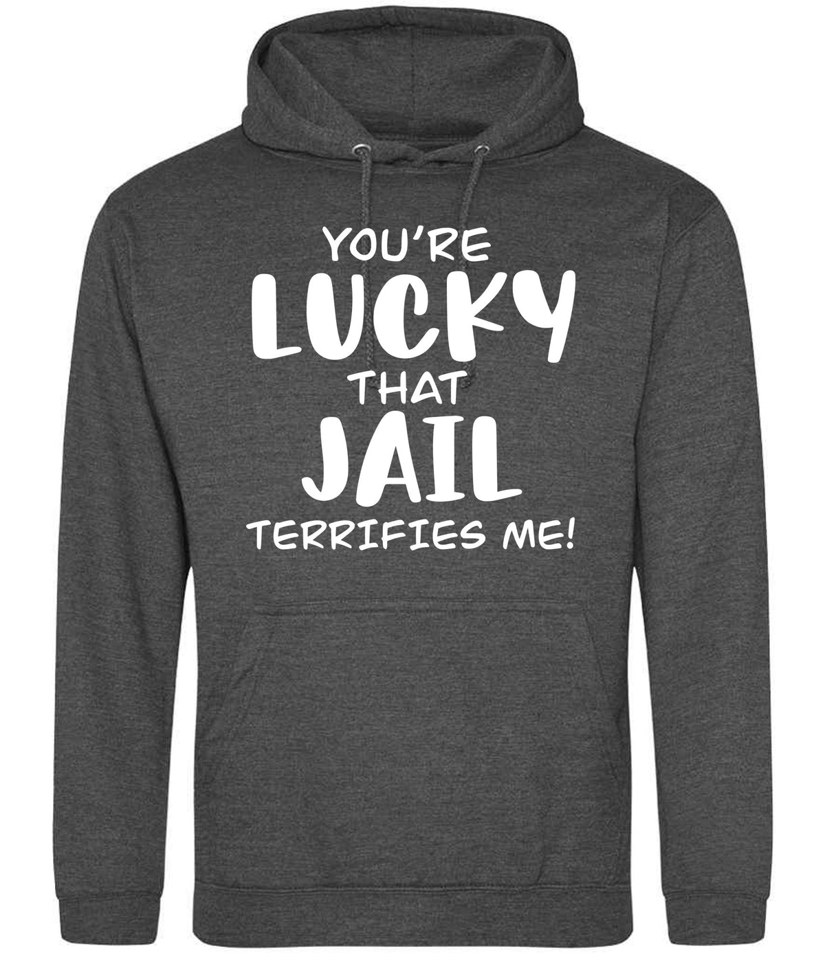 You're Lucky That Jail Terrifies Me! hoodie in charcoal