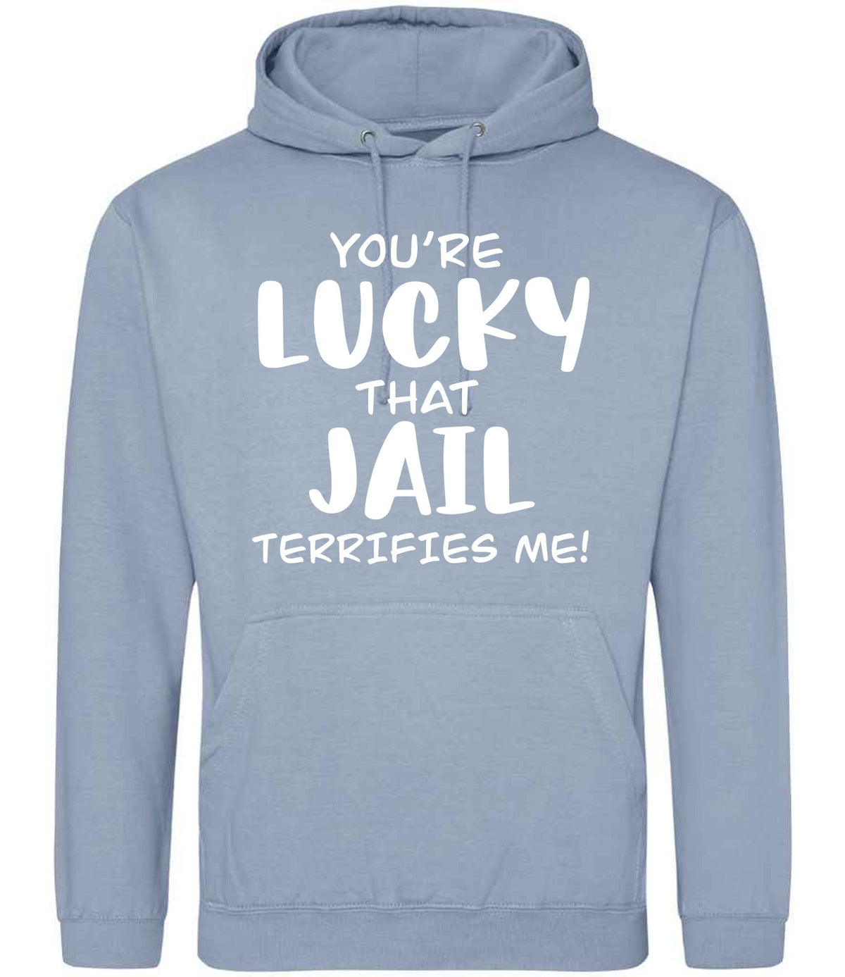 You're Lucky That Jail Terrifies Me! hoodie in dusty blue