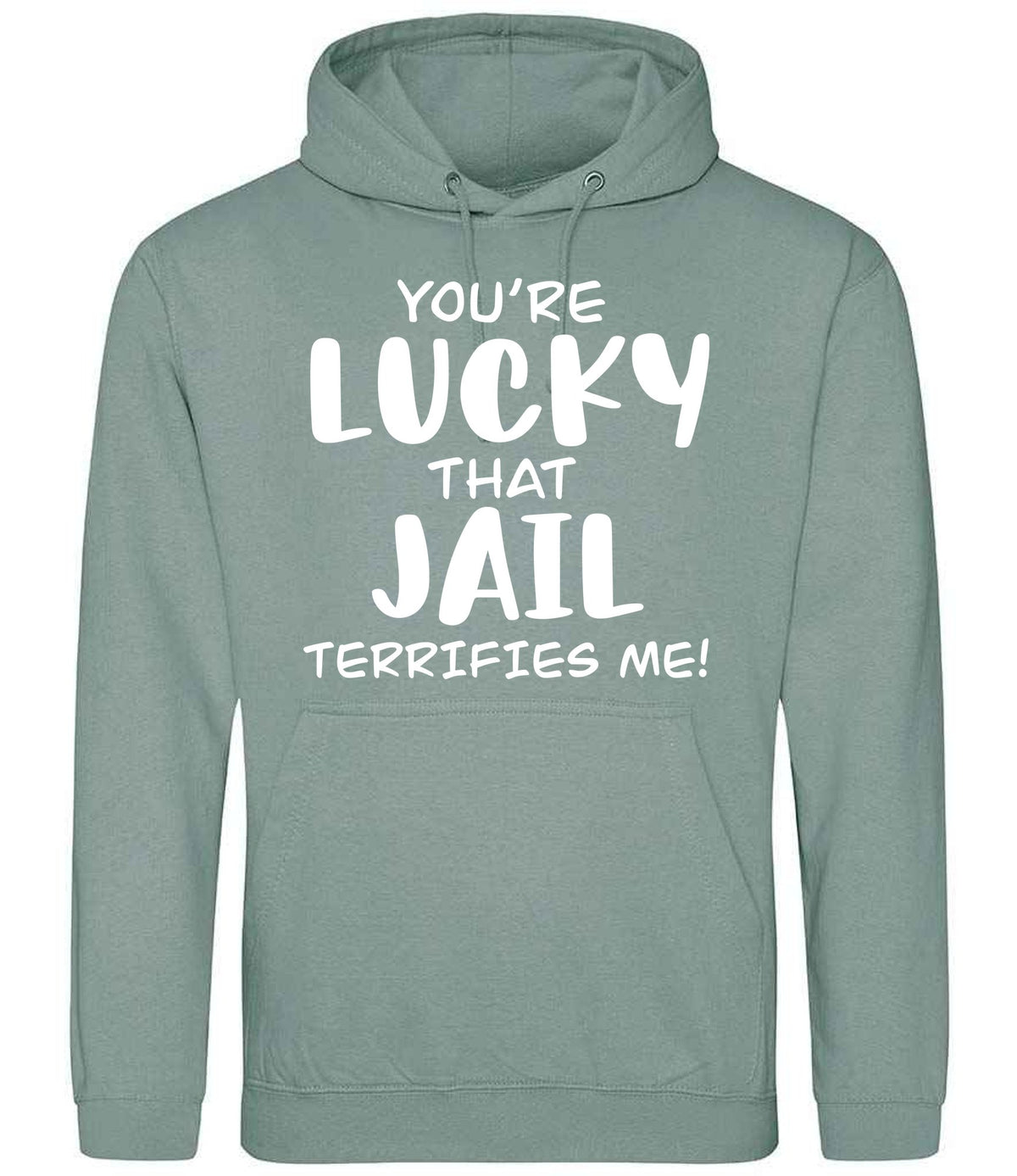 You're Lucky That Jail Terrifies Me! hoodie in dusty green